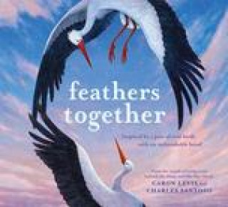 Buch Feathers Together Charles Santoso