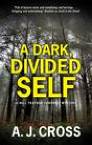 Knjiga Dark, Divided Self A.J. Cross
