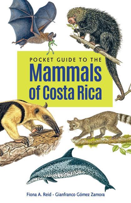 Kniha Pocket Guide to the Mammals of Costa Rica Gianfranco Gómez Zamora