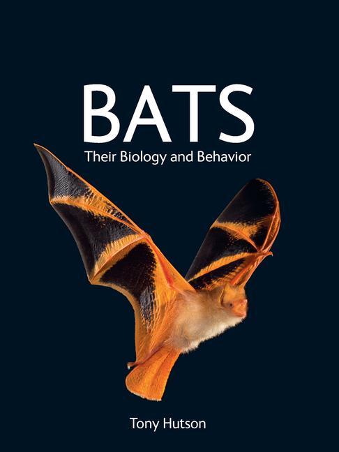 Könyv Bats: Their Biology and Behavior 