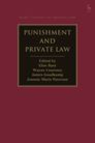 Kniha Punishment and Private Law Wayne Courtney