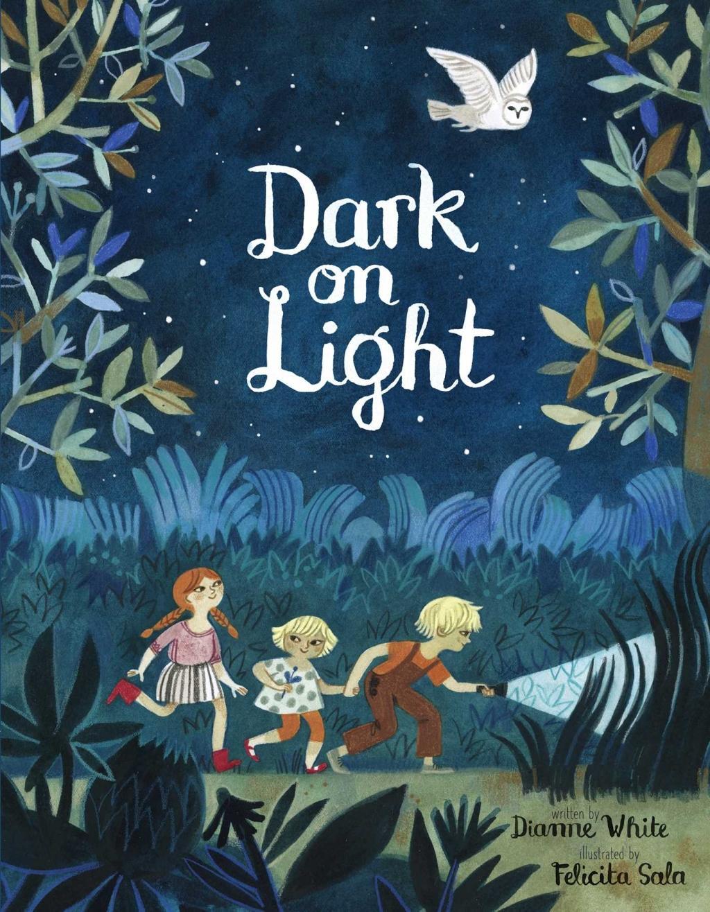 Kniha Dark on Light Felicita Sala