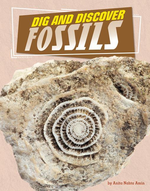 Książka Dig and Discover Fossils 