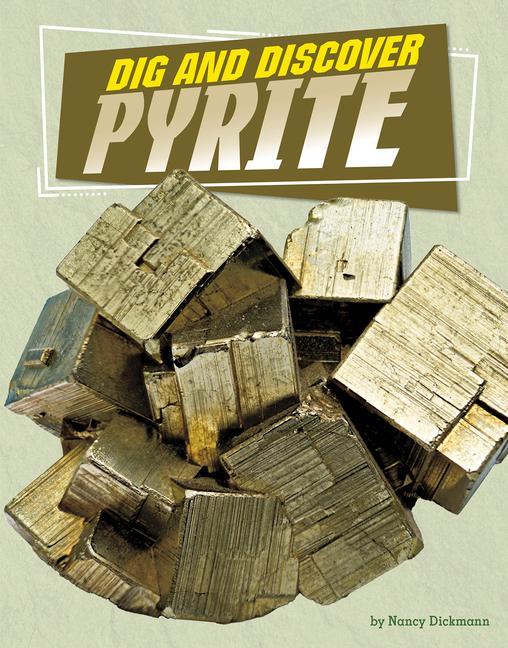 Book Dig and Discover Pyrite Dickmann