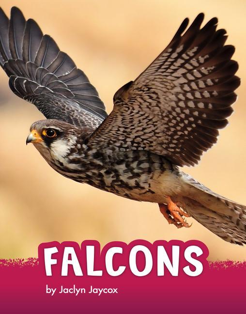 Knjiga Falcons Jaycox