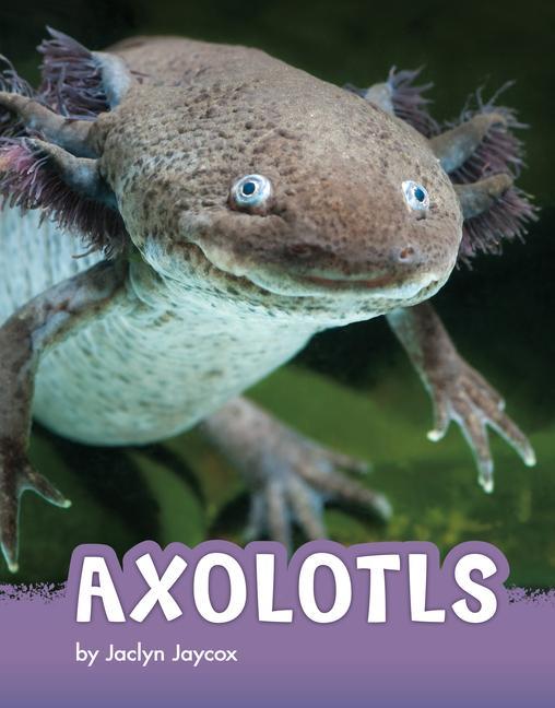 Книга Axolotls 