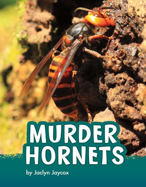 Book Murder Hornets Jaycox