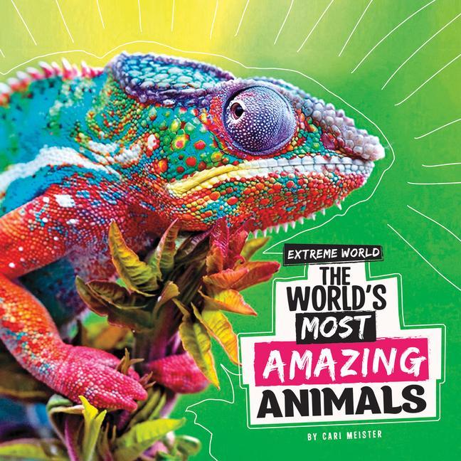 Book The World's Most Amazing Animals Meister