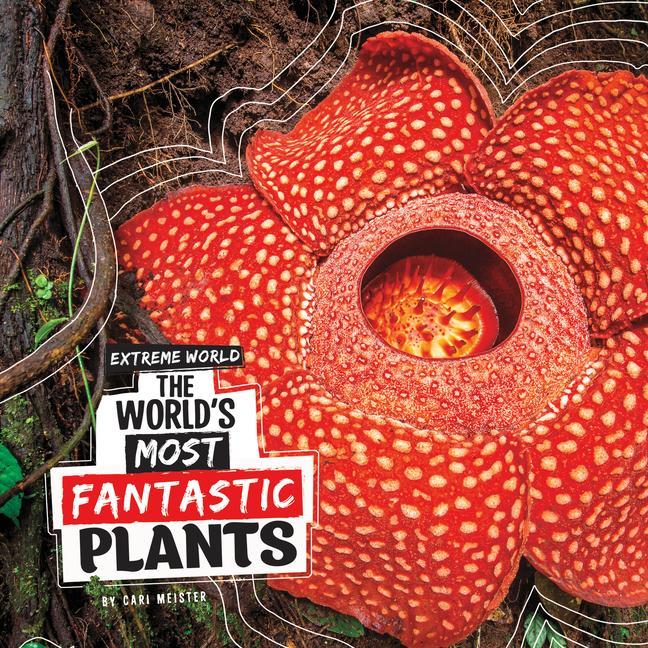 Knjiga The World's Most Fantastic Plants Meister