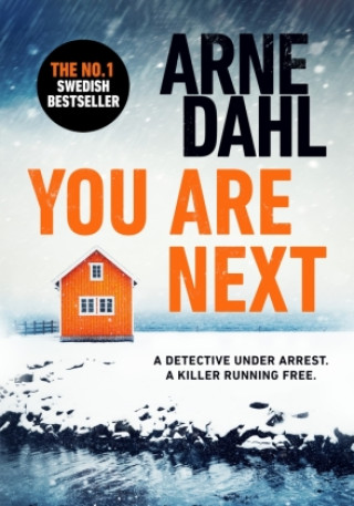 Carte You Are Next Arne Dahl