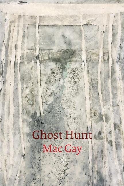 Knjiga Ghost Hunt Mac Gay