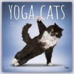 Naptár/Határidőnapló Yoga Cats 2023 Square 