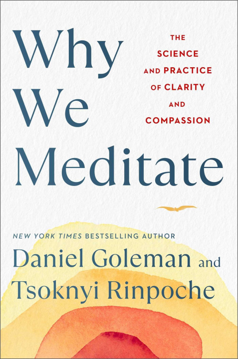 Kniha Why We Meditate Tsoknyi Rinpoche
