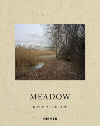 Knjiga Nicholas Pollack Nicholas Pollack