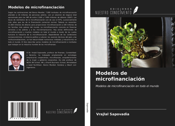 Boek Modelos de microfinanciación Kandarp Patel