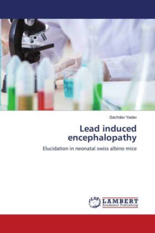 Könyv Lead induced encephalopathy Sachdev Yadav