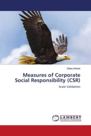 Kniha Measures of Corporate Social Responsibility (CSR) 