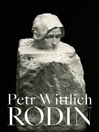Kniha Rodin Petr Wittlich