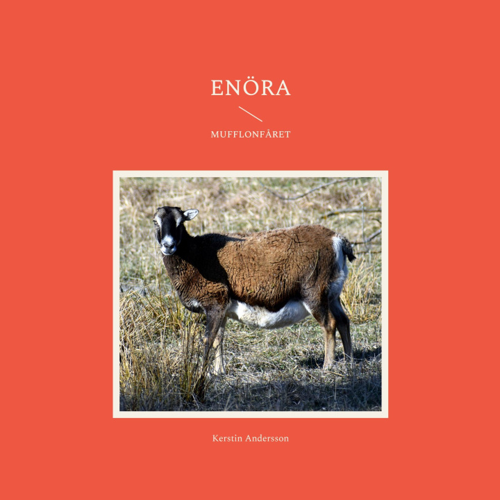 Boek Enoera Kerstin Andersson
