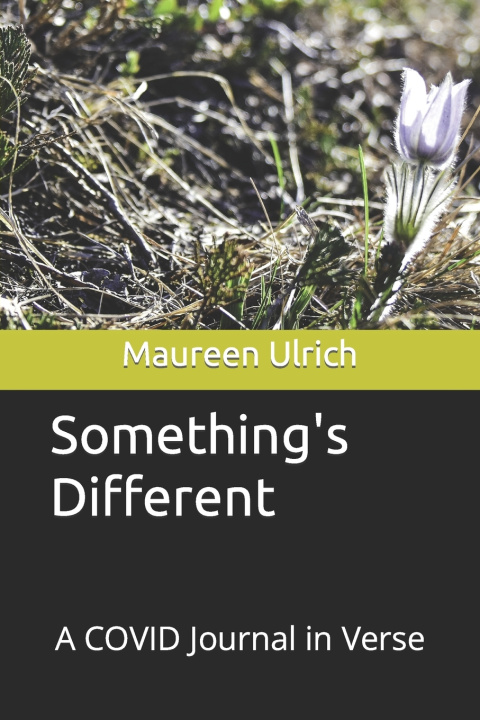 Knjiga Something's Different Ulrich Maureen Ulrich
