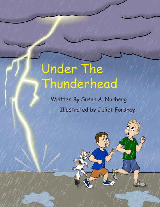 Knjiga Under the Thunderhead Norberg Susan A Norberg