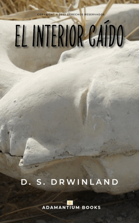 Knjiga interior caido Drwinland D. S. Drwinland