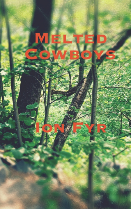 Knjiga Melted Cowboys Ion Fyr