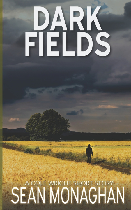 Knjiga Dark Fields Monaghan Sean Monaghan