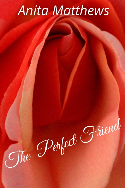 Knjiga Perfect Friend Anita Matthews