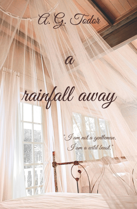 Knjiga rainfall away A G Todor