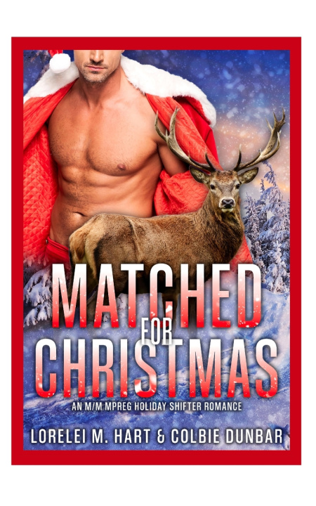 Knjiga Matched For Christmas Colbie Dunbar