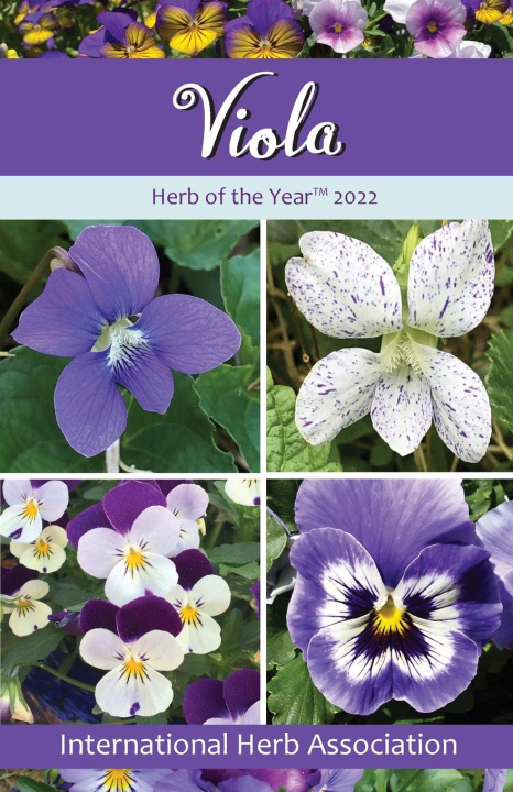 Βιβλίο Viola TBD