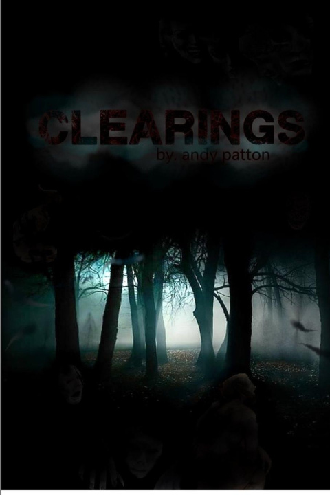Book Clearings Andrew Patton
