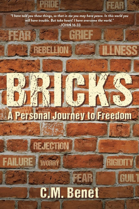 Knjiga Bricks C.M. Benet
