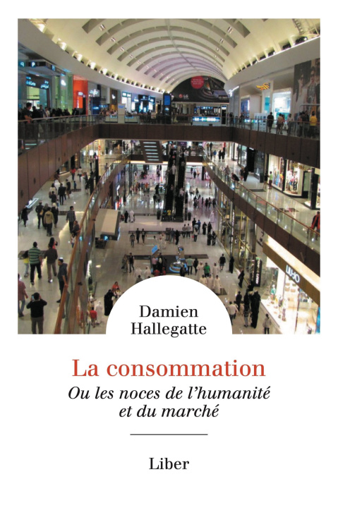 Kniha La consommation Hallegatte
