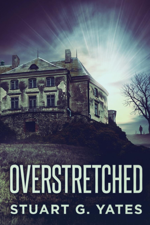 Knjiga Overstretched Stuart G. Yates