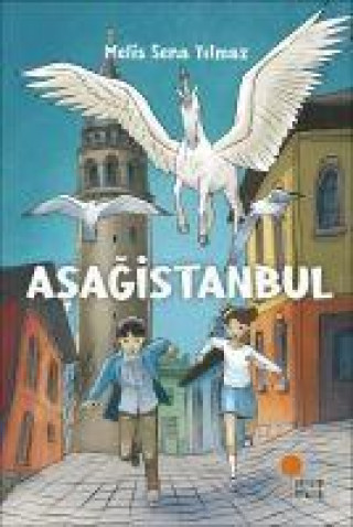 Libro Asagistanbul 