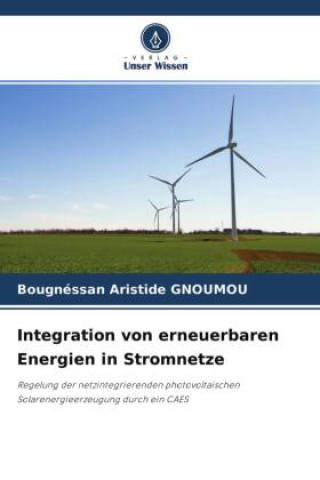 Könyv Integration von erneuerbaren Energien in Stromnetze 