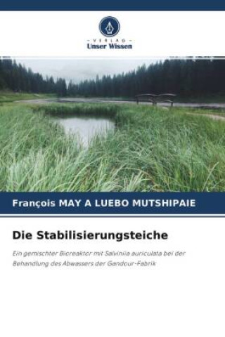 Knjiga Die Stabilisierungsteiche François MAY A LUEBO MUTSHIPAIE