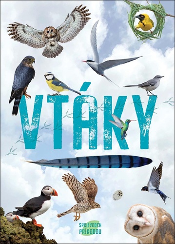 Buch Vtáky 