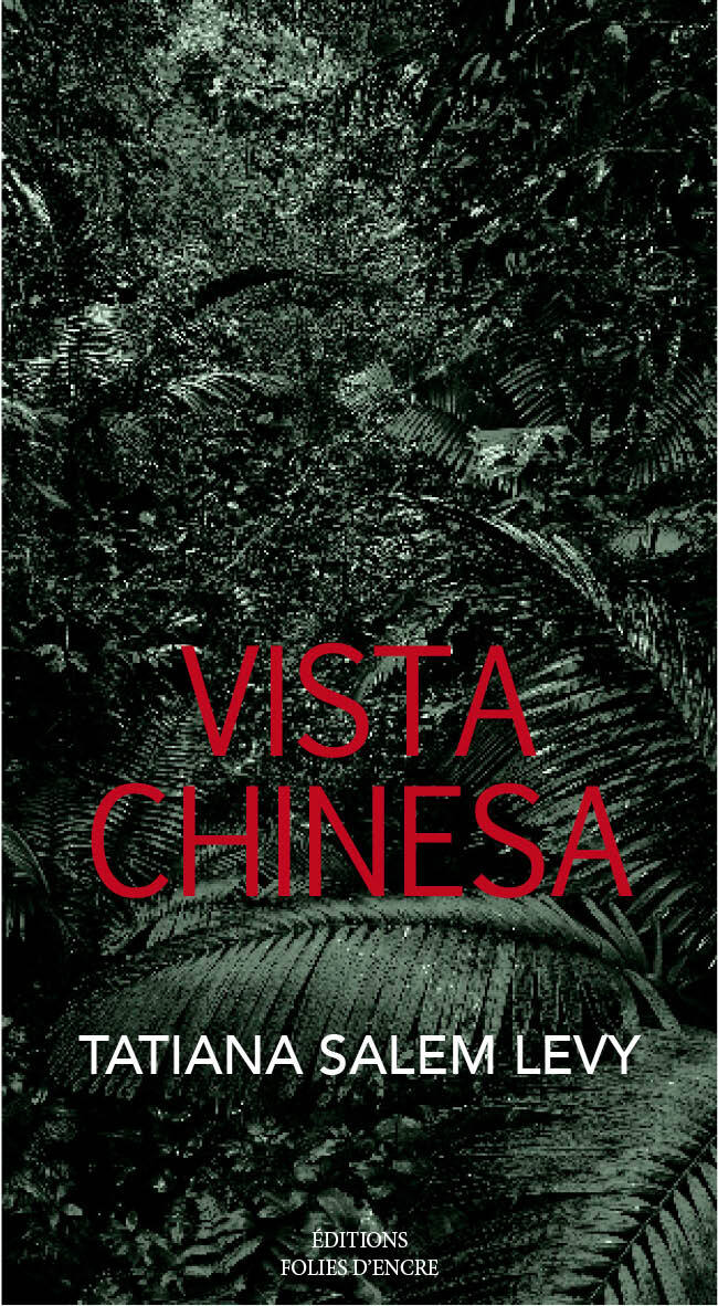 Buch Vista Chinesa Salem Levy