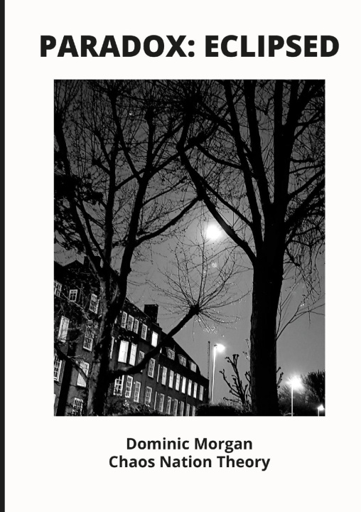 Buch Paradox Dominic Morgan