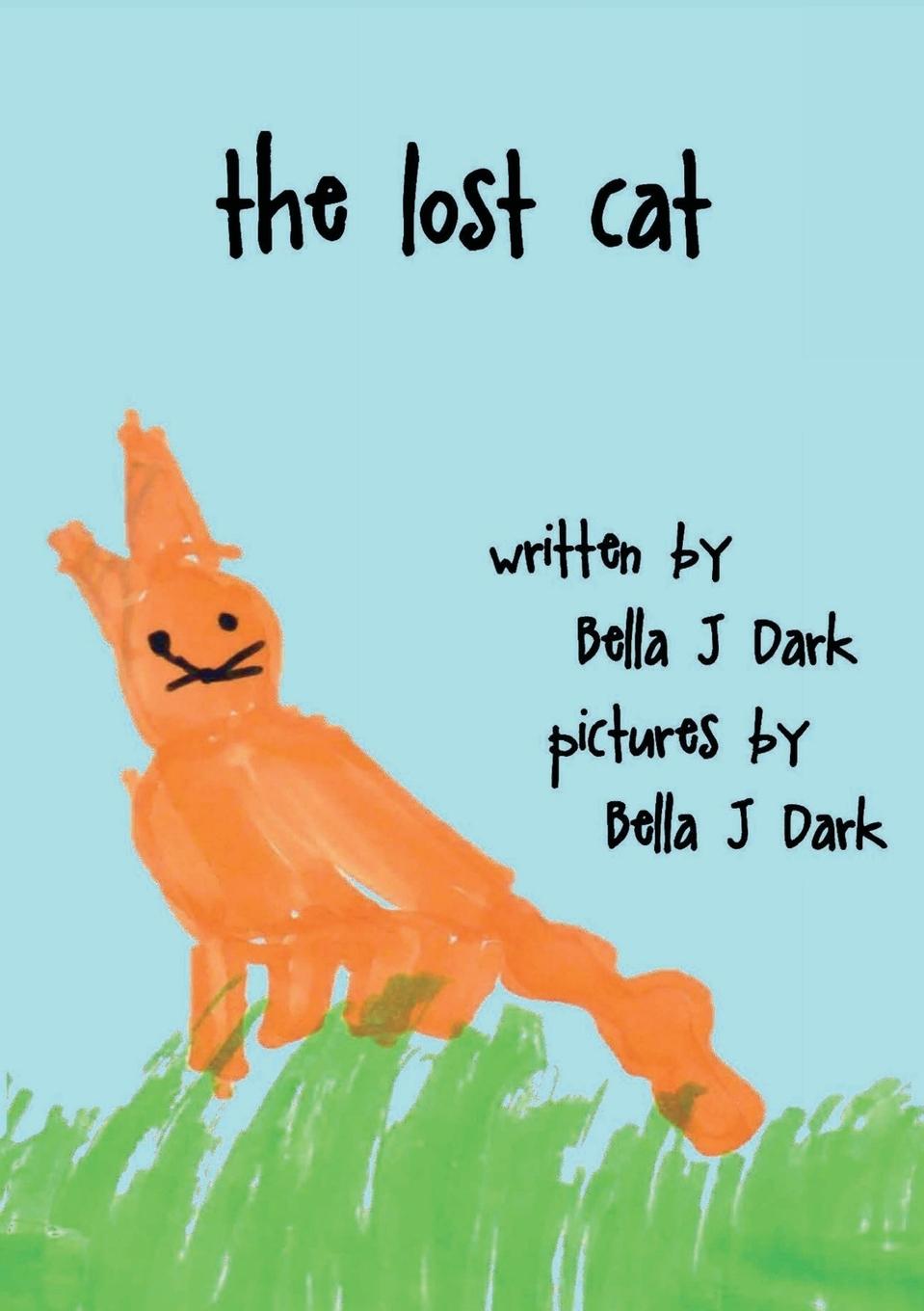 Könyv Lost Cat 