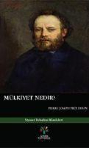 Book Mülkiyet Nedir 