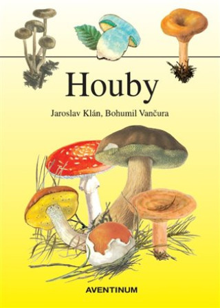 Book Houby Jaroslav Klán