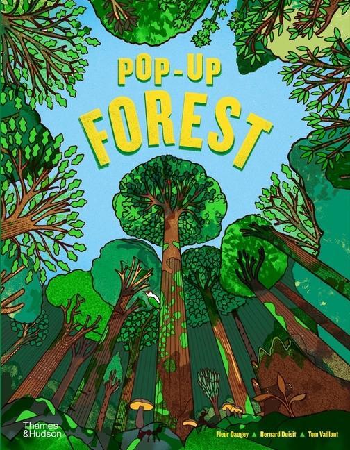 Kniha Pop-Up Forest 