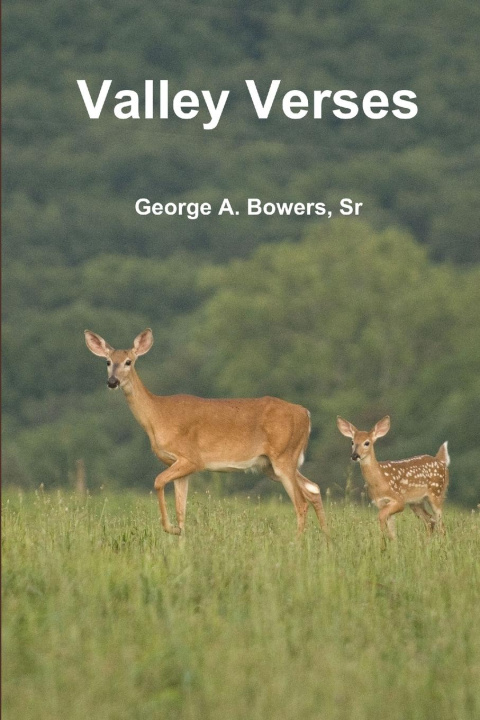 Boek Valley Verses George Bowers