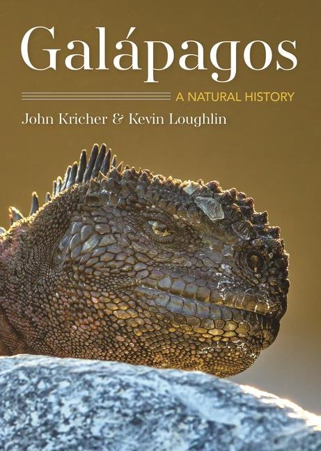 Kniha Galapagos Kevin Loughlin