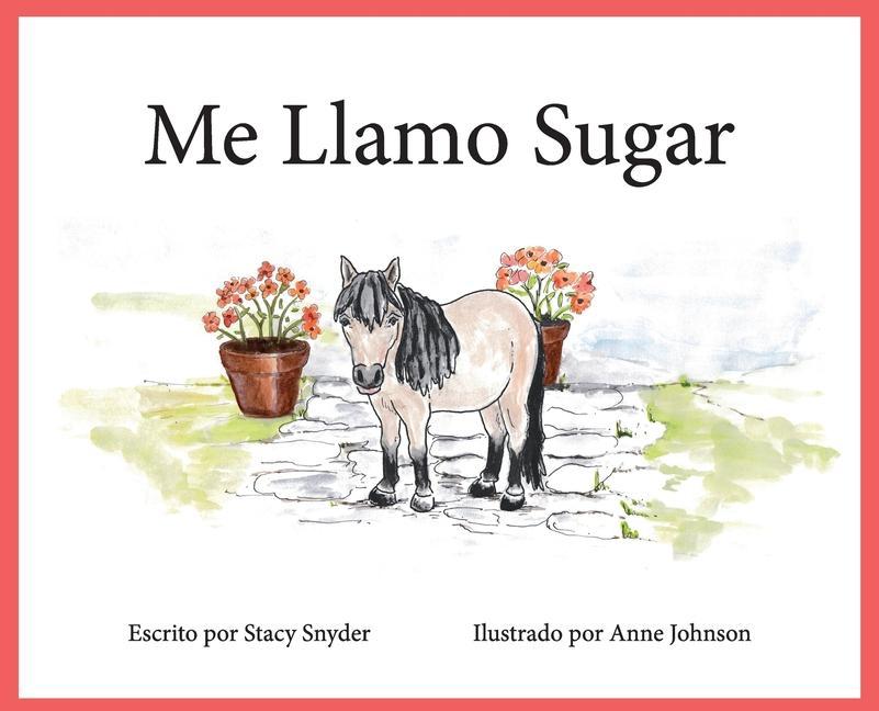Boek Me Llamo Sugar Stacy T Snyder