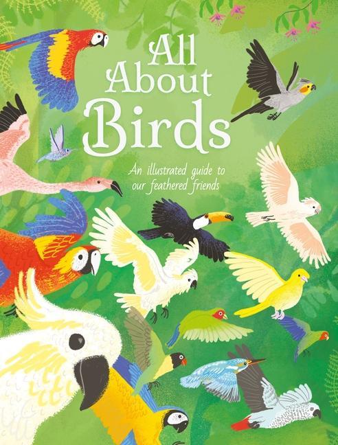 Könyv All about Birds: An Illustrated Guide to Our Feathered Friends Iris Deppe